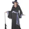 Incantasia The Glamour Witch Plus Costume -Teen Costumes Shop 01646PL