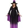 Magical Witch Plus Size Costume -Teen Costumes Shop 120865FW