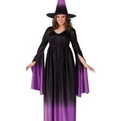 Magical Witch Plus Size Costume