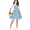 Dorothy Costume For Teen -Teen Costumes Shop 15473T