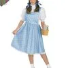 Plus Size Dorothy Costume For Adult -Teen Costumes Shop 17349