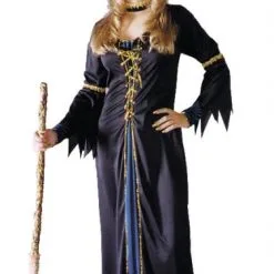 Renaissance Witch Plus Size Adult Costume