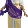Aphrodite Plus Size Costume 1 Aphrodite Plus Size Costume -Teen Costumes Shop 379 768 ru17783
