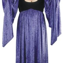Evil Queen Plus Size Adult Costume
