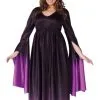 Magical Witch Plus Size Adult Costume -Teen Costumes Shop 402 768 FW120865