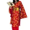 Geisha Plus Size Costume -Teen Costumes Shop 538 768 dg3130fix