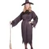 Witchy Witch Plus Size Adult Costume