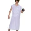 Toga Costume For Teens -Teen Costumes Shop 61996