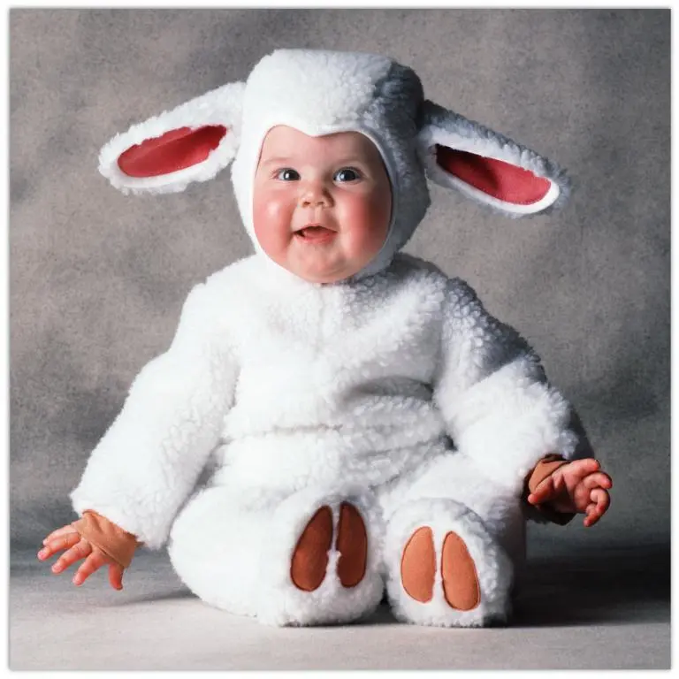 Tom Arma Sheep 3 Tom Arma Sheep