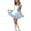 Teen Alice Costume