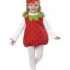 Infant Toddler Strawberry Girl Costume -Teen Costumes Shop CC10003