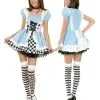 Fairy Tale Alice Adult Costume -Teen Costumes Shop CH01592
