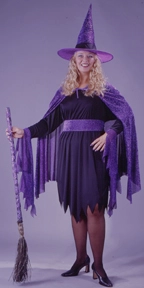 Shimmering Witch Plus Size Adult Costume