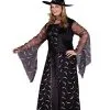 Celestial Sorceress Plus Size Adult Costume -Teen Costumes Shop FW5748